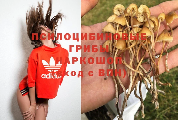 MDMA Осинники
