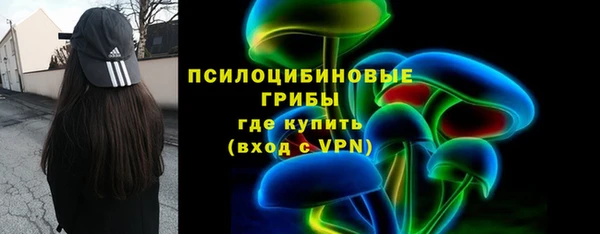 гидра Бутурлиновка
