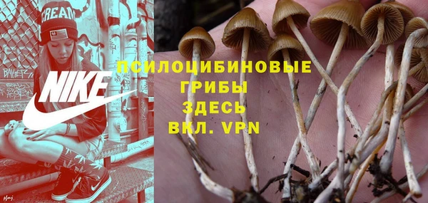 MDMA Осинники